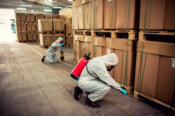 Best Affordable Pest Control Services  in Eden, NC