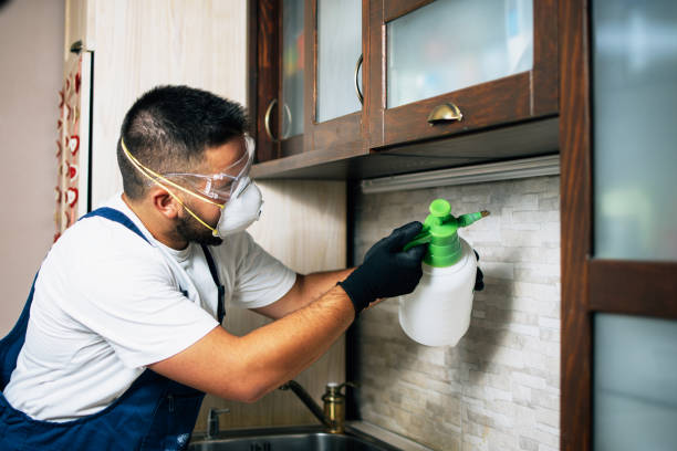Best Affordable Pest Control Services  in Eden, NC