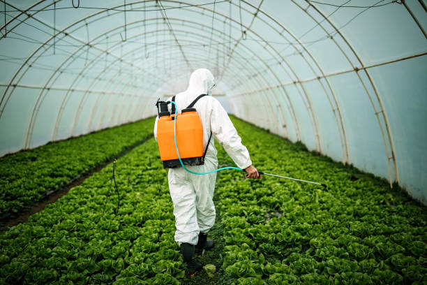 Pest Prevention Services in Eden, NC
