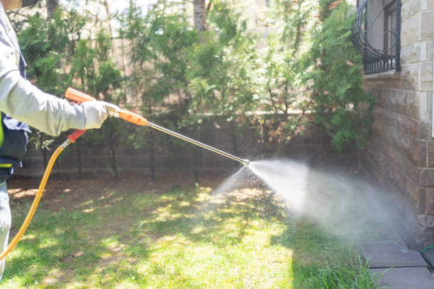 Best Residential Pest Control  in Eden, NC