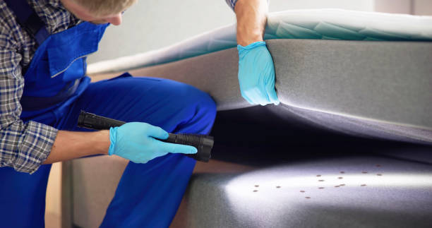 Best Best Pest Control Near Me  in Eden, NC