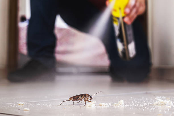 Best Rat Extermination Near Me  in Eden, NC