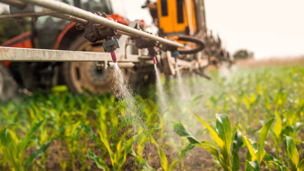 Best Mosquito Control Services  in Eden, NC